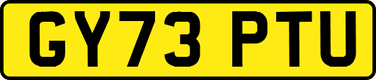 GY73PTU