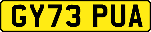 GY73PUA