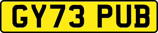 GY73PUB