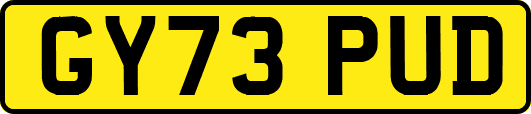 GY73PUD