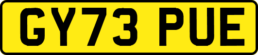 GY73PUE