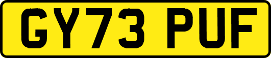 GY73PUF