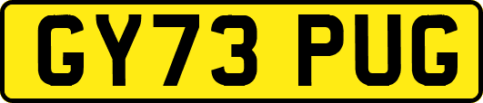 GY73PUG