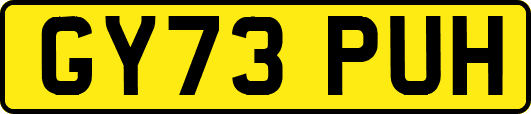 GY73PUH