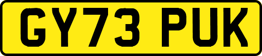 GY73PUK