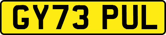 GY73PUL
