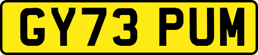 GY73PUM