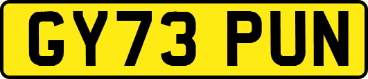 GY73PUN