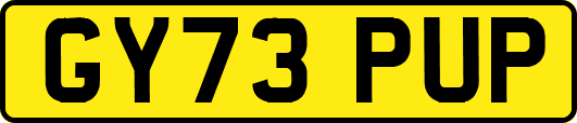 GY73PUP