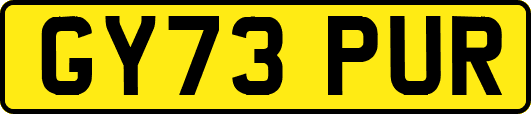GY73PUR
