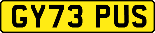 GY73PUS