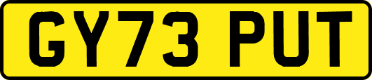 GY73PUT