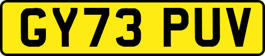 GY73PUV