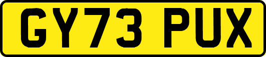 GY73PUX