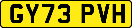 GY73PVH