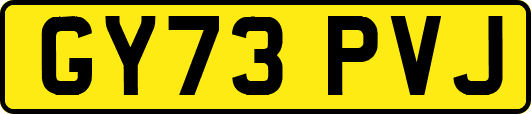 GY73PVJ