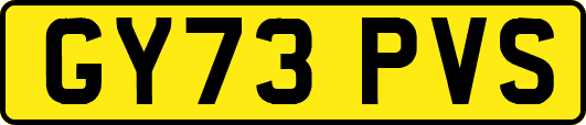 GY73PVS