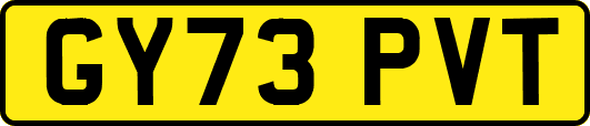 GY73PVT