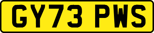 GY73PWS