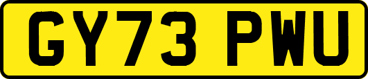 GY73PWU