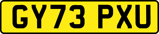 GY73PXU