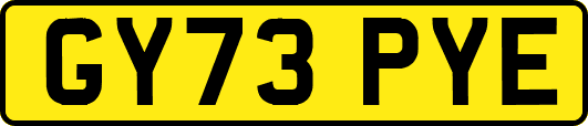 GY73PYE