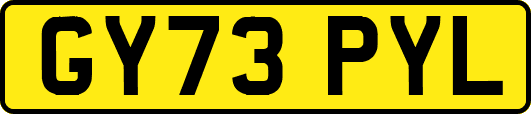 GY73PYL