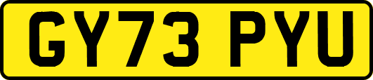 GY73PYU