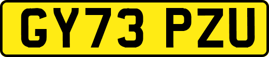 GY73PZU