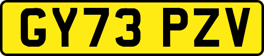 GY73PZV