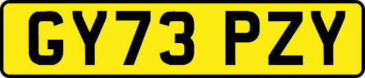 GY73PZY