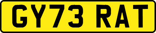 GY73RAT