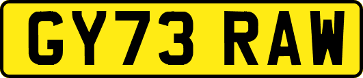 GY73RAW