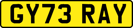 GY73RAY