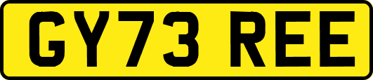 GY73REE