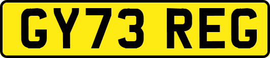 GY73REG