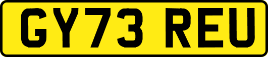 GY73REU