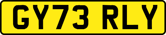 GY73RLY