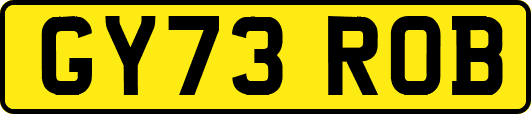 GY73ROB