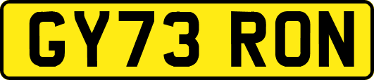 GY73RON