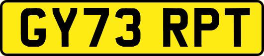 GY73RPT