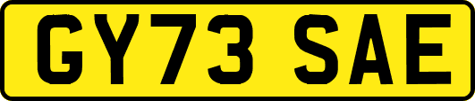 GY73SAE