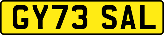 GY73SAL