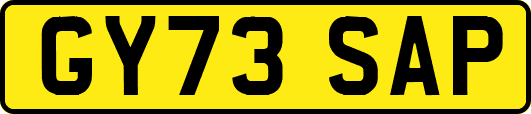 GY73SAP