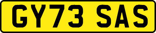 GY73SAS