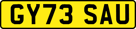 GY73SAU
