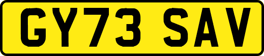 GY73SAV