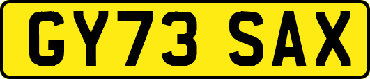 GY73SAX