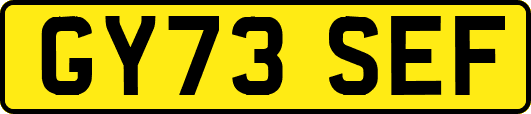 GY73SEF