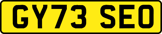 GY73SEO